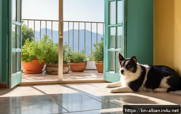 알바니아에서 반려동물 키우기 - A cozy Mediterranean-style home interior in Albania during summer, featuring a small dog and a cat c...